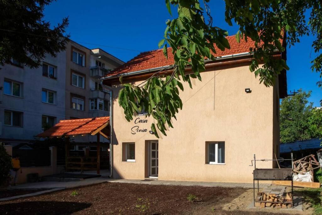 Вилла Casa Sonia Сигишоара Экстерьер фото