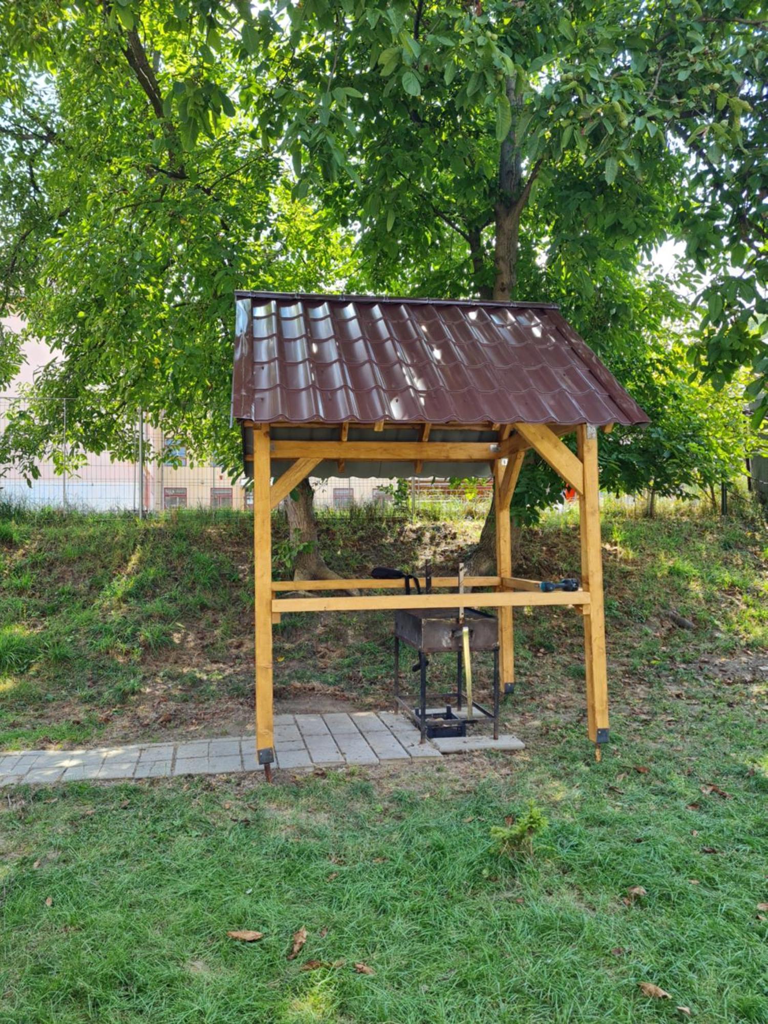 Вилла Casa Sonia Сигишоара Экстерьер фото